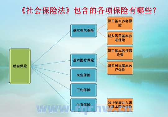 惠州办理退休手续流程？（惠州市社会保险基金管理局）