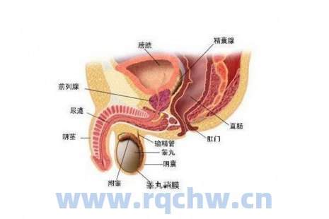 hkex香港交易所营业到几点（hkex香港交易所联系方式）