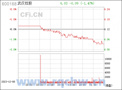 600168武汉控股（600168武汉控股今日收盘）
