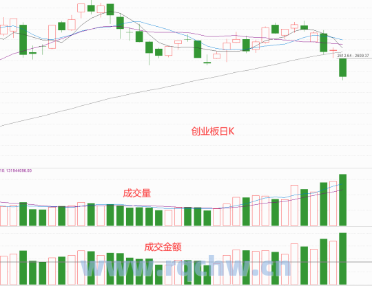 601208东材科技领导班子（东材科技分红2020年）